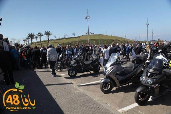 iste3dadat3j (14).jpg